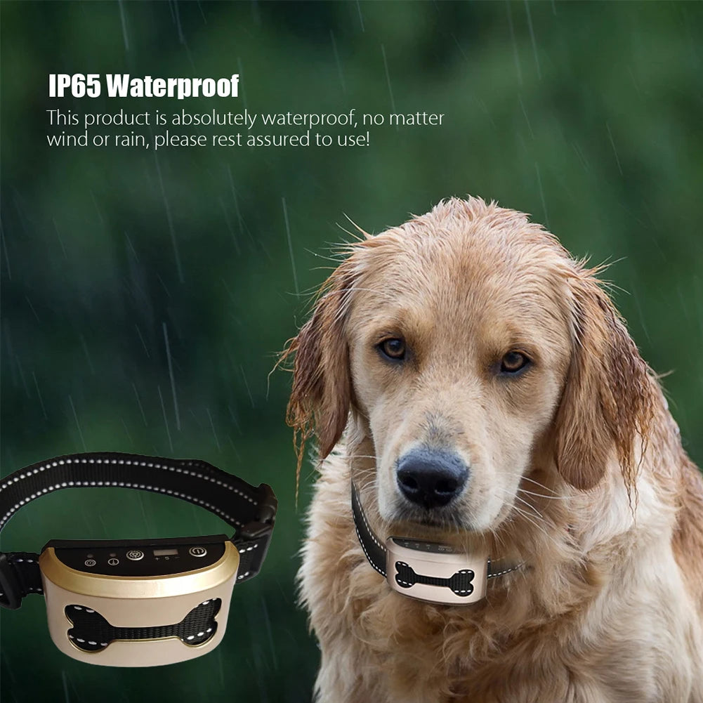Anti Bark Collar