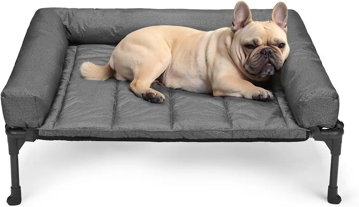 Raised Pet Cot with Breathable Mesh