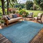 Indoor Outdoor Rug