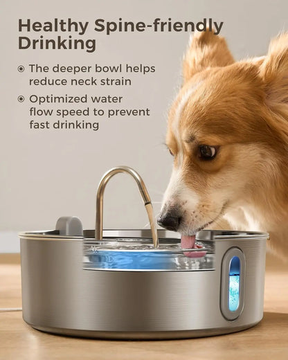 Dog Water Fountain