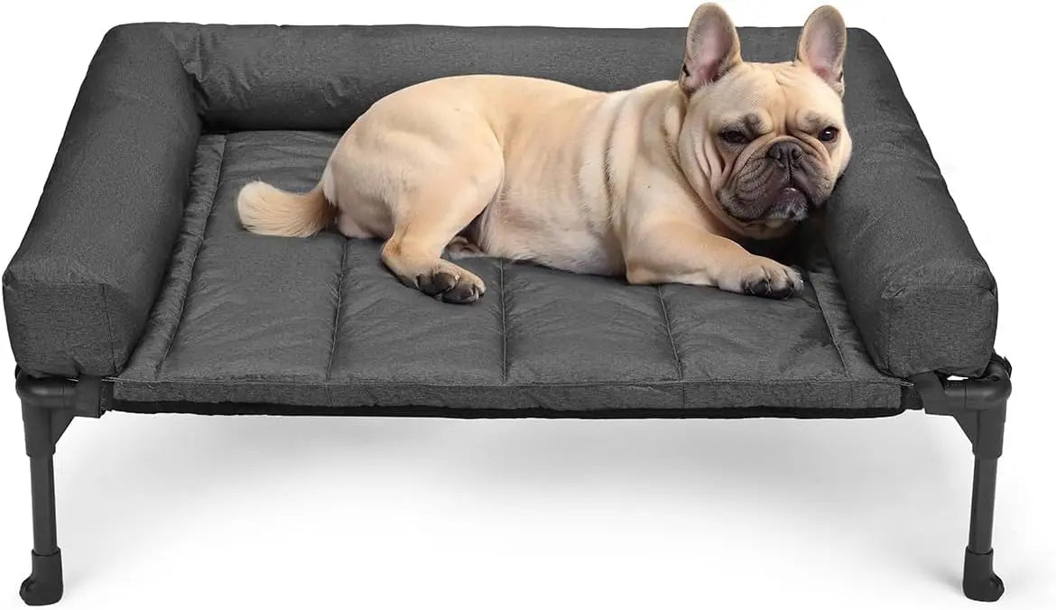 Raised Pet Cot with Breathable Mesh