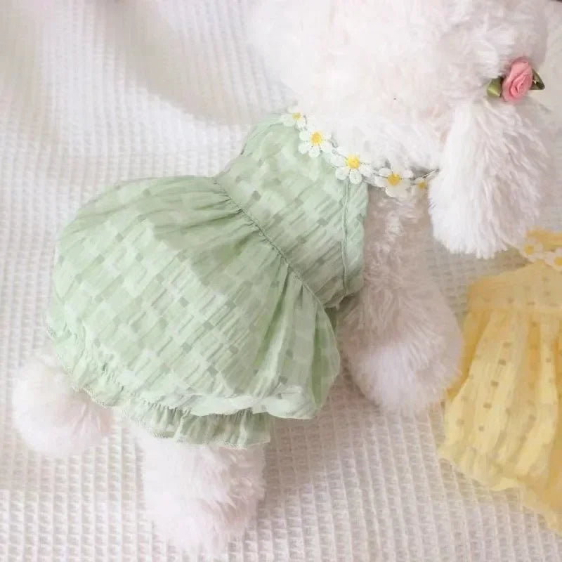 Daisy Dress