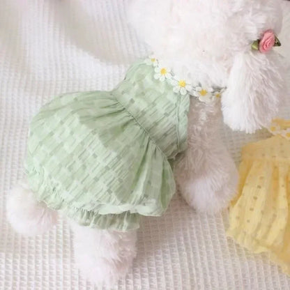 Daisy Dress