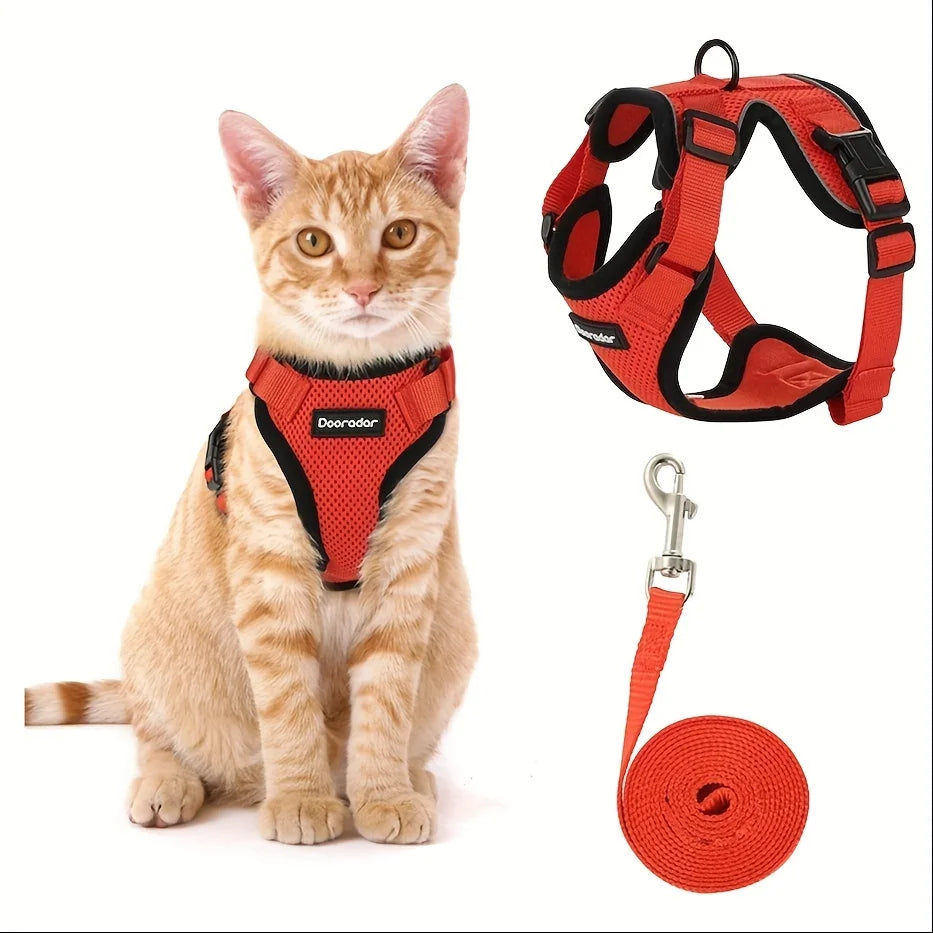 Cat Leash