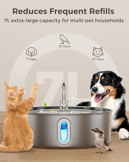 Dog Water Fountain