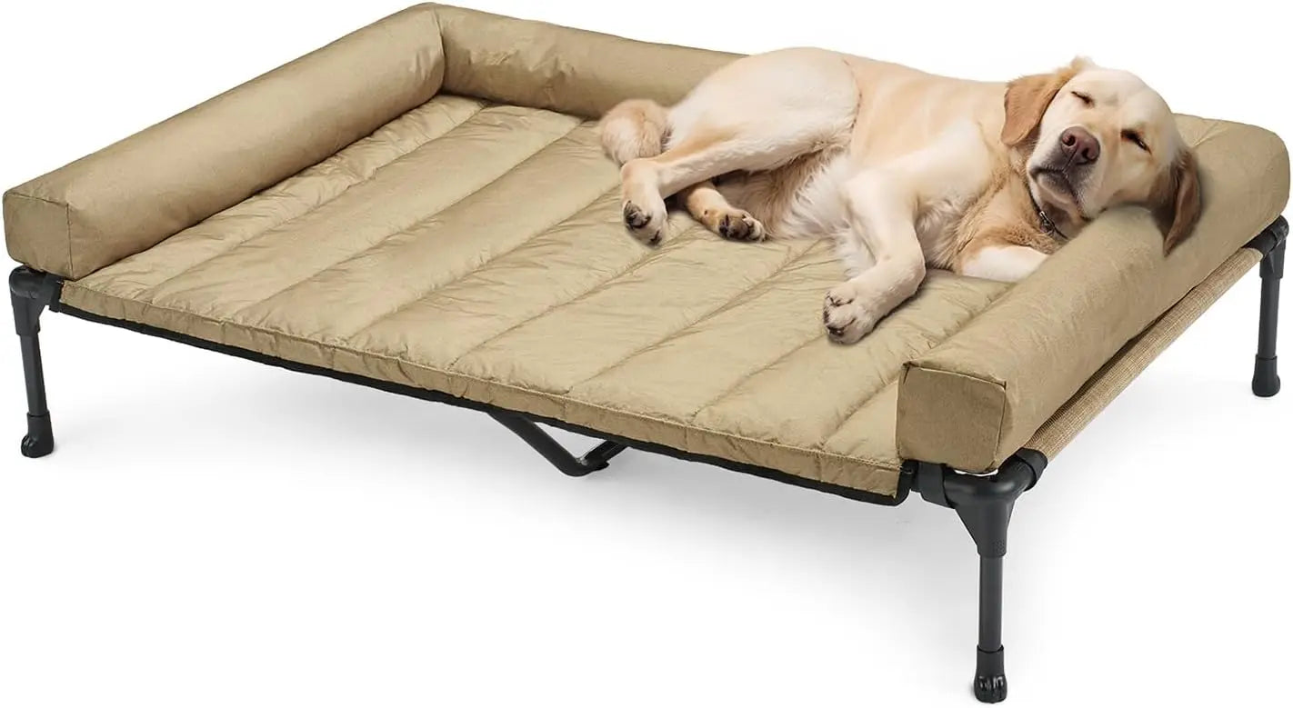 Raised Pet Cot with Breathable Mesh