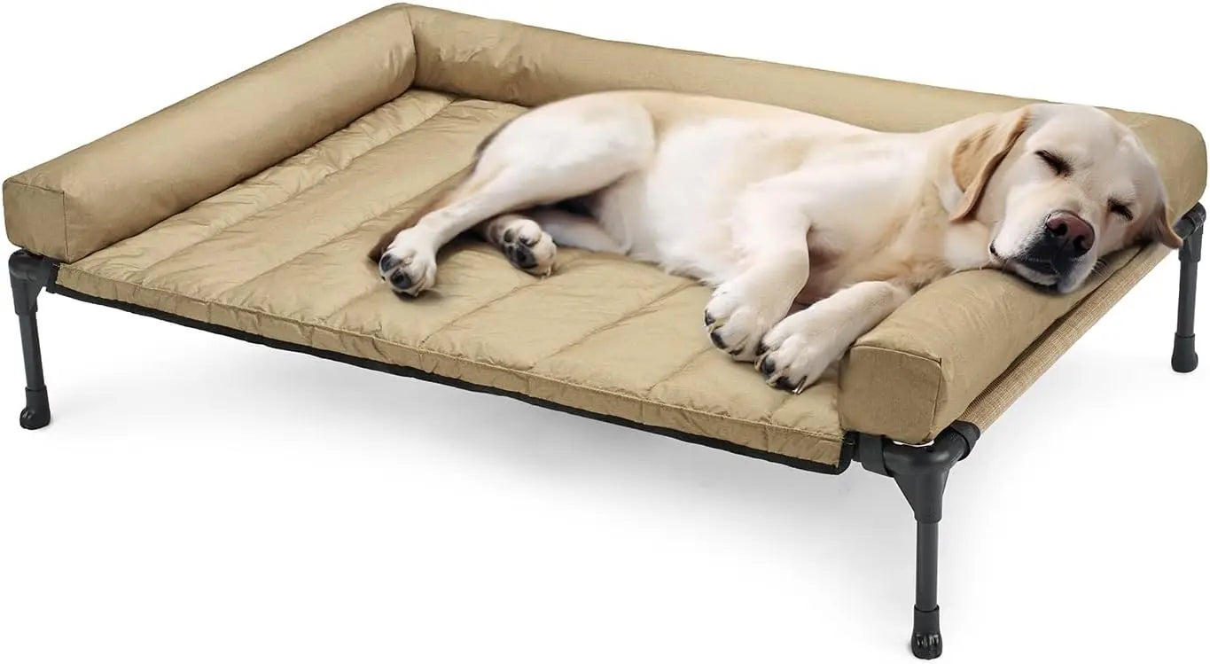 Raised Pet Cot with Breathable Mesh