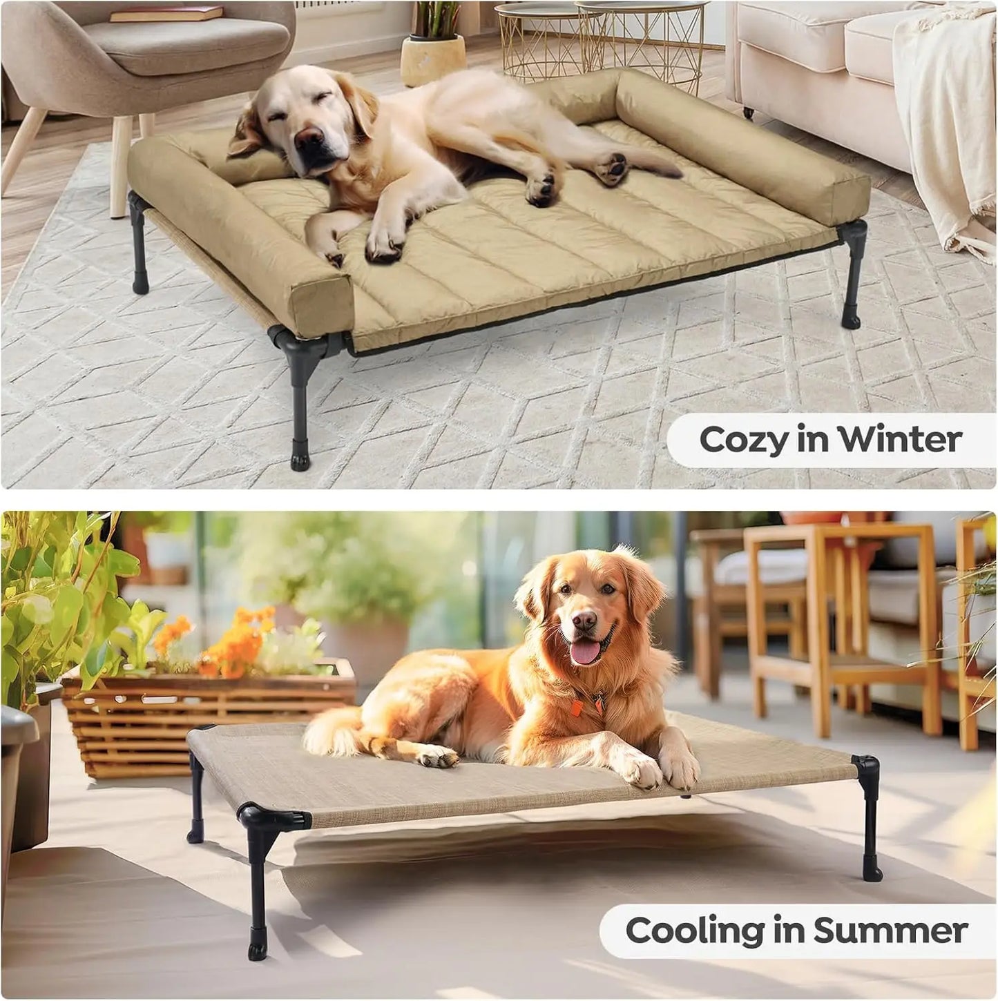 Raised Pet Cot with Breathable Mesh