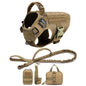 Dog Harness Leash