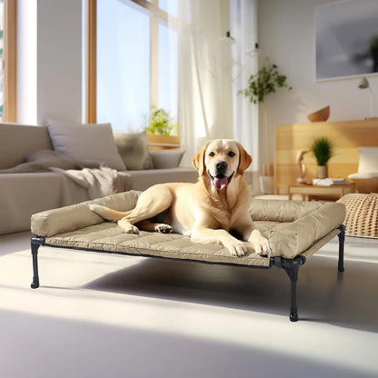 Raised Pet Cot with Breathable Mesh