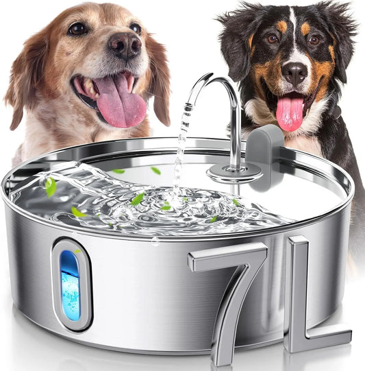 Dog Water Fountain