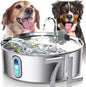 Dog Water Fountain
