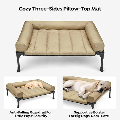 Raised Pet Cot with Breathable Mesh