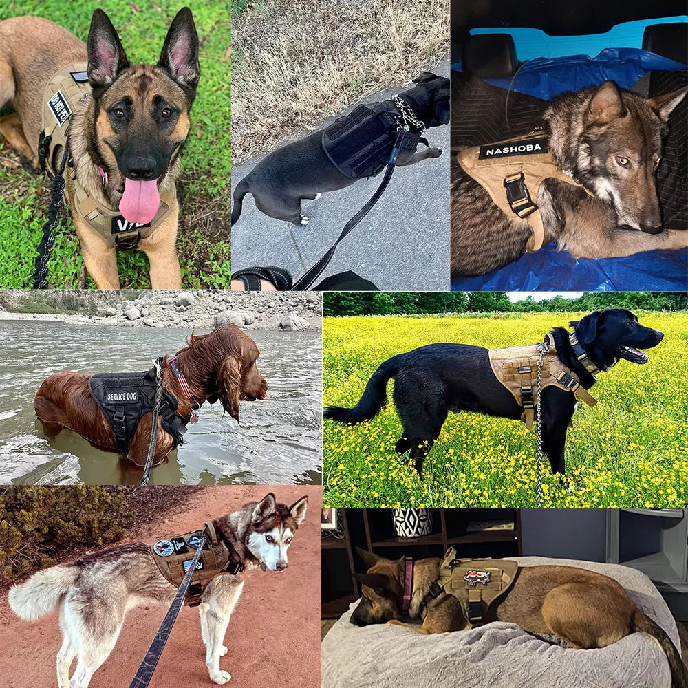 Tactical Dog Harness Leash