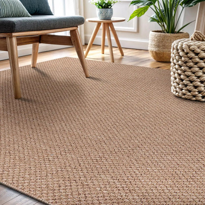 Indoor Outdoor Natural Area Rugs